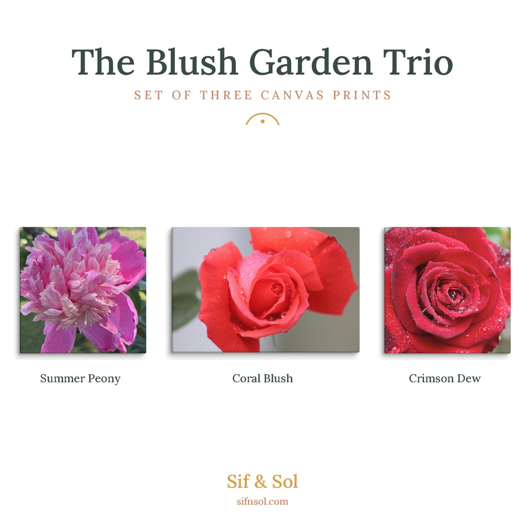 The Blush Garden Trio — Floral Canvas Print Set of 3 | Botanical Wall Art