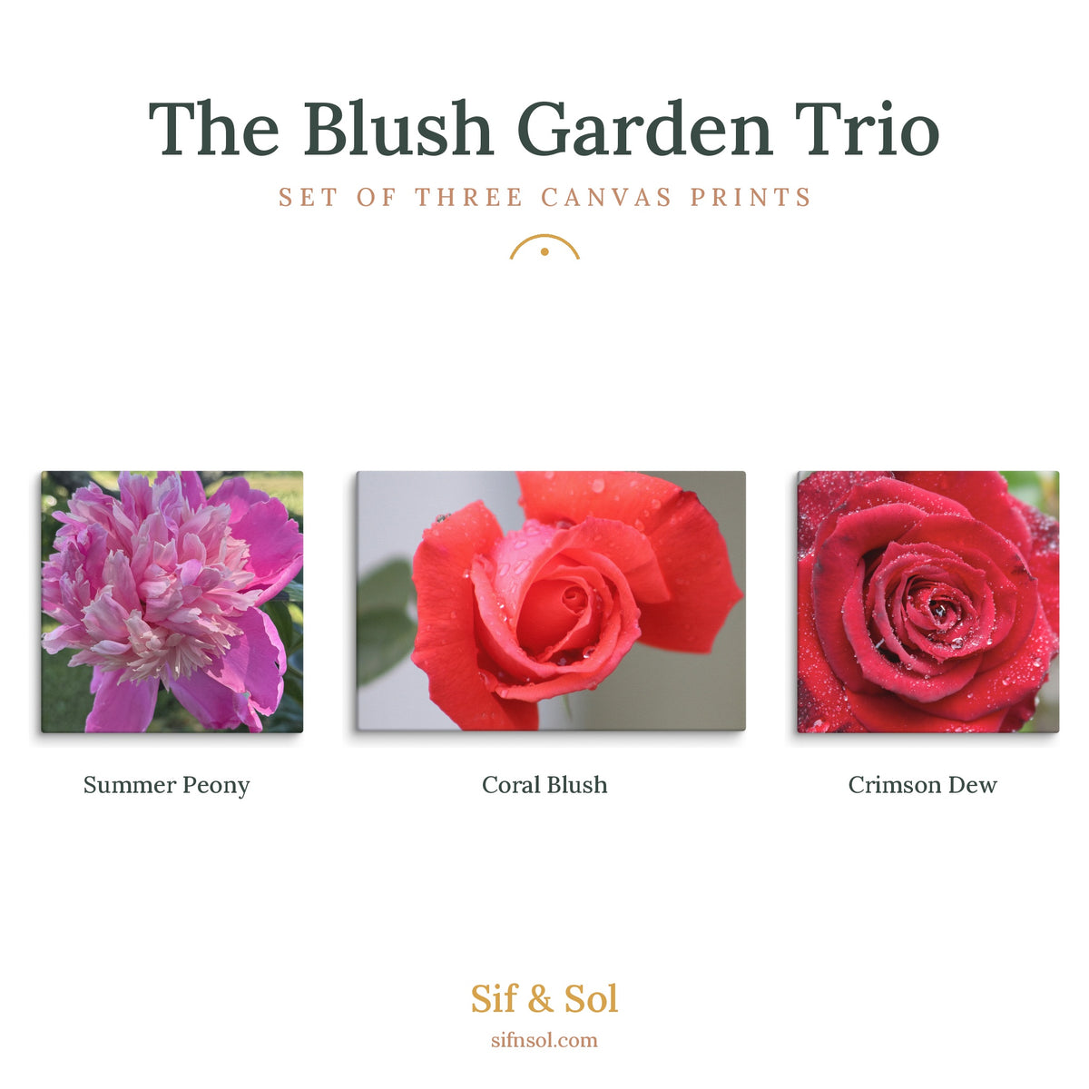 The Blush Garden Trio — Floral Canvas Print Set of 3 | Botanical Wall Art