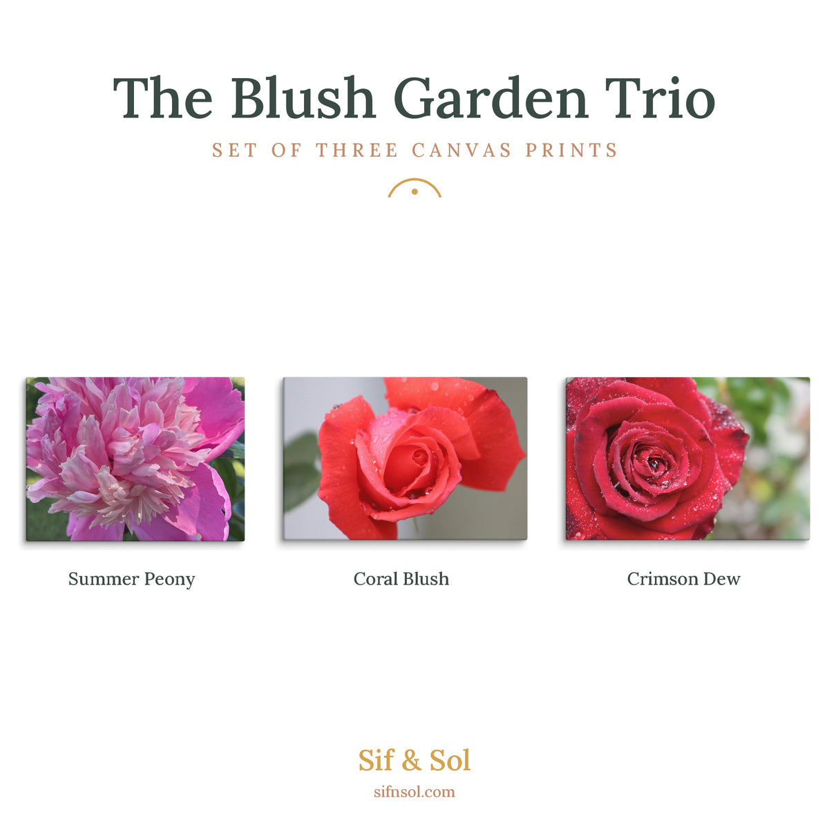 The Blush Garden Trio — Floral Canvas Print Set of 3 | Botanical Wall Art
