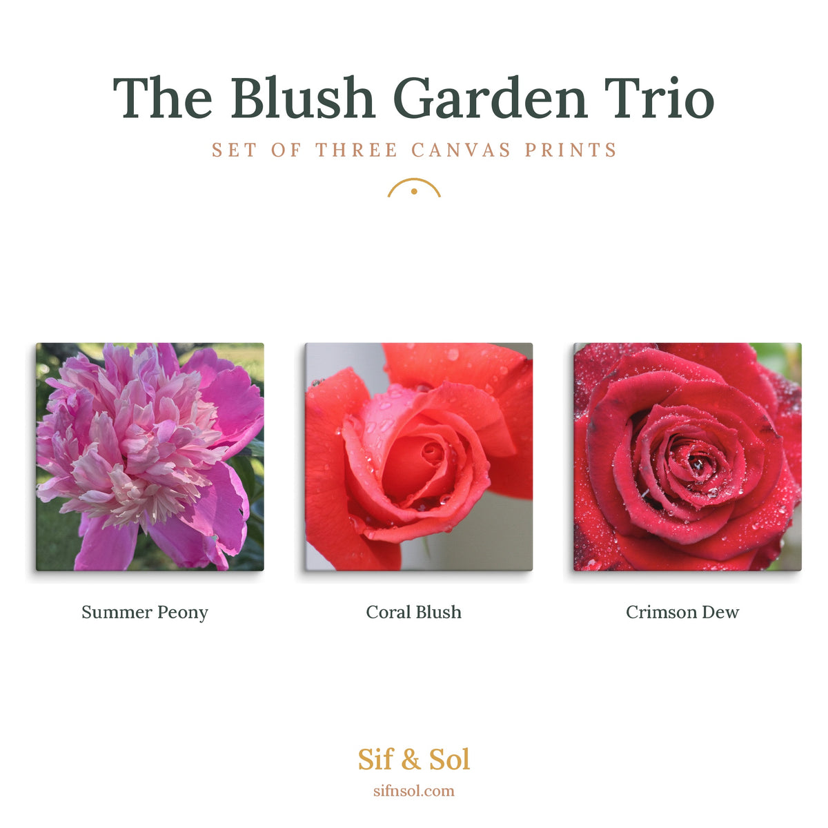 The Blush Garden Trio — Floral Canvas Print Set of 3 | Botanical Wall Art