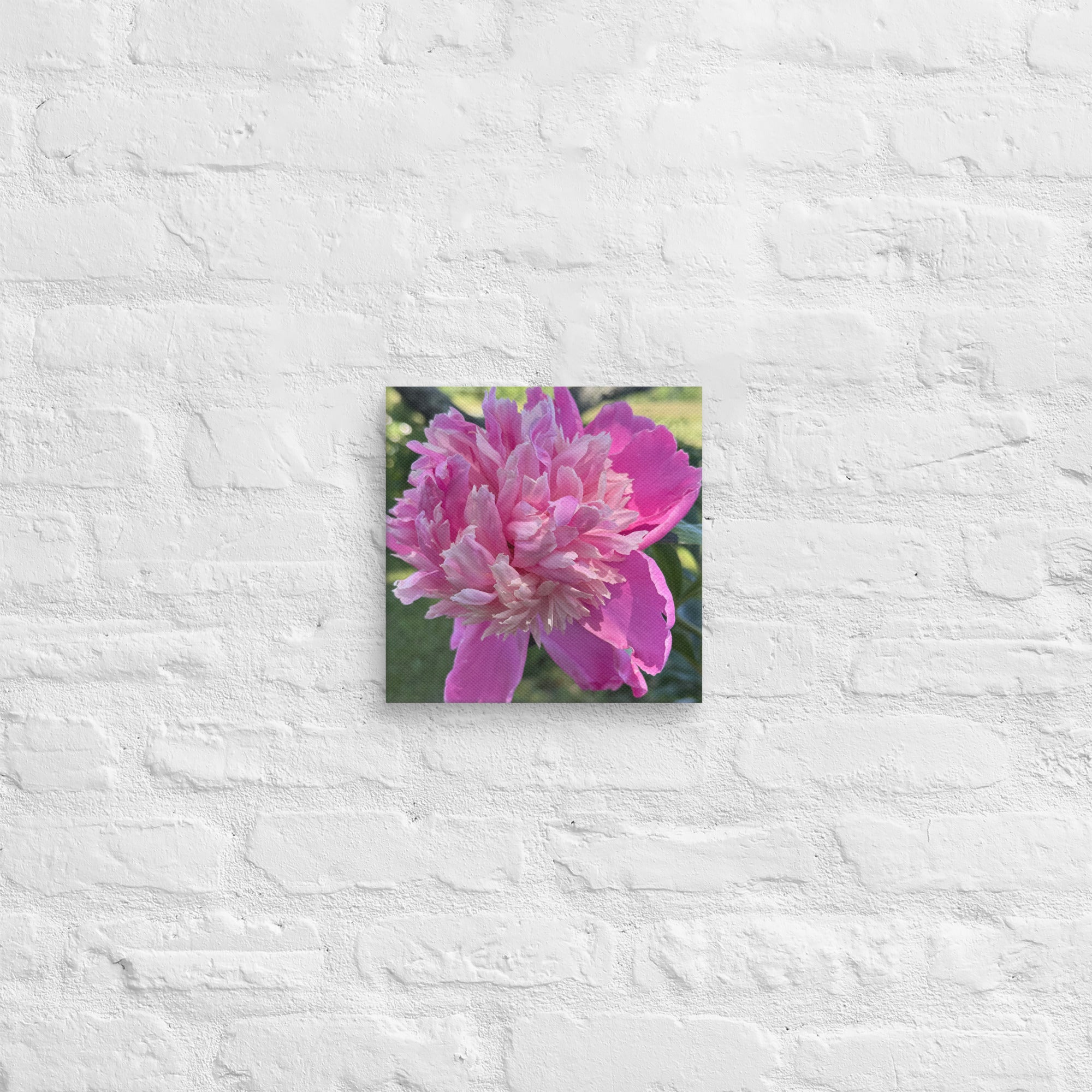Pink peony canvas print — lush summer bloom floral wall art