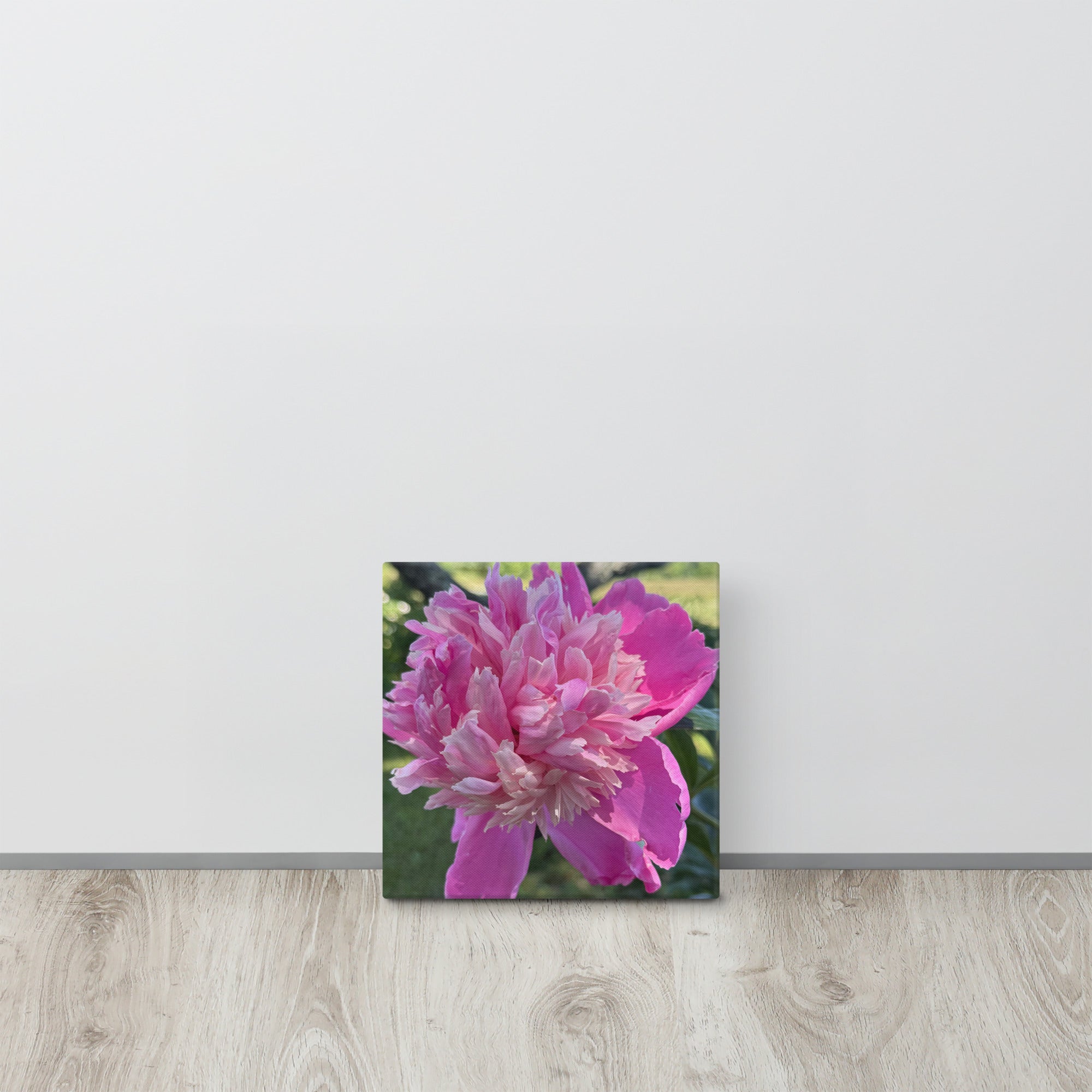 Pink peony canvas print — lush summer bloom floral wall art