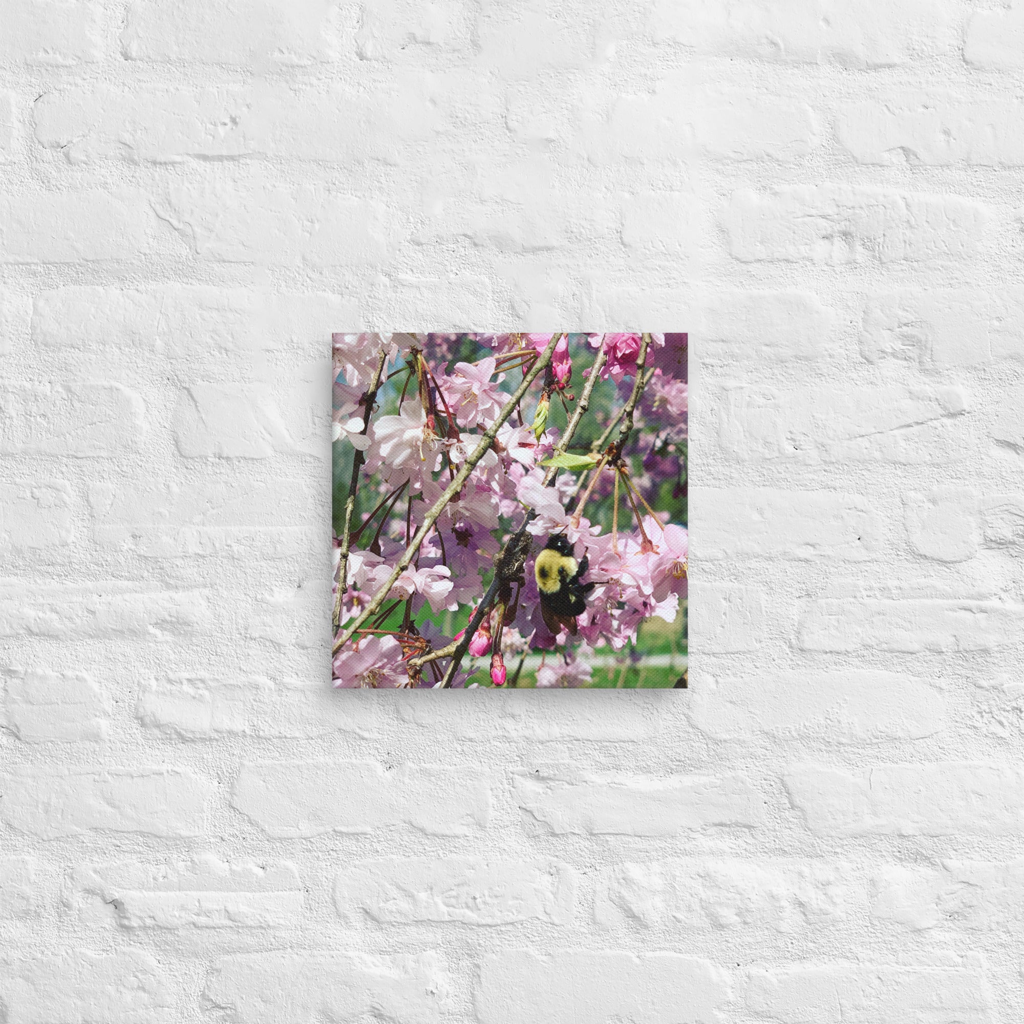 Cherry blossom canvas print with bumblebee — pink weeping cherry tree spring wall art
