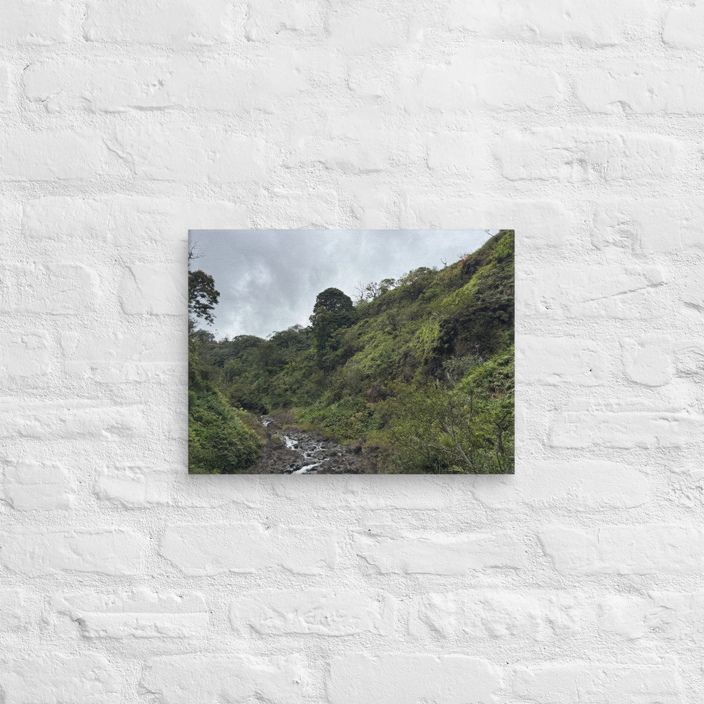 Road to Hana waterfall canvas print — small jungle waterfall along Maui's Hana Highway, Hawaii landscape wall art