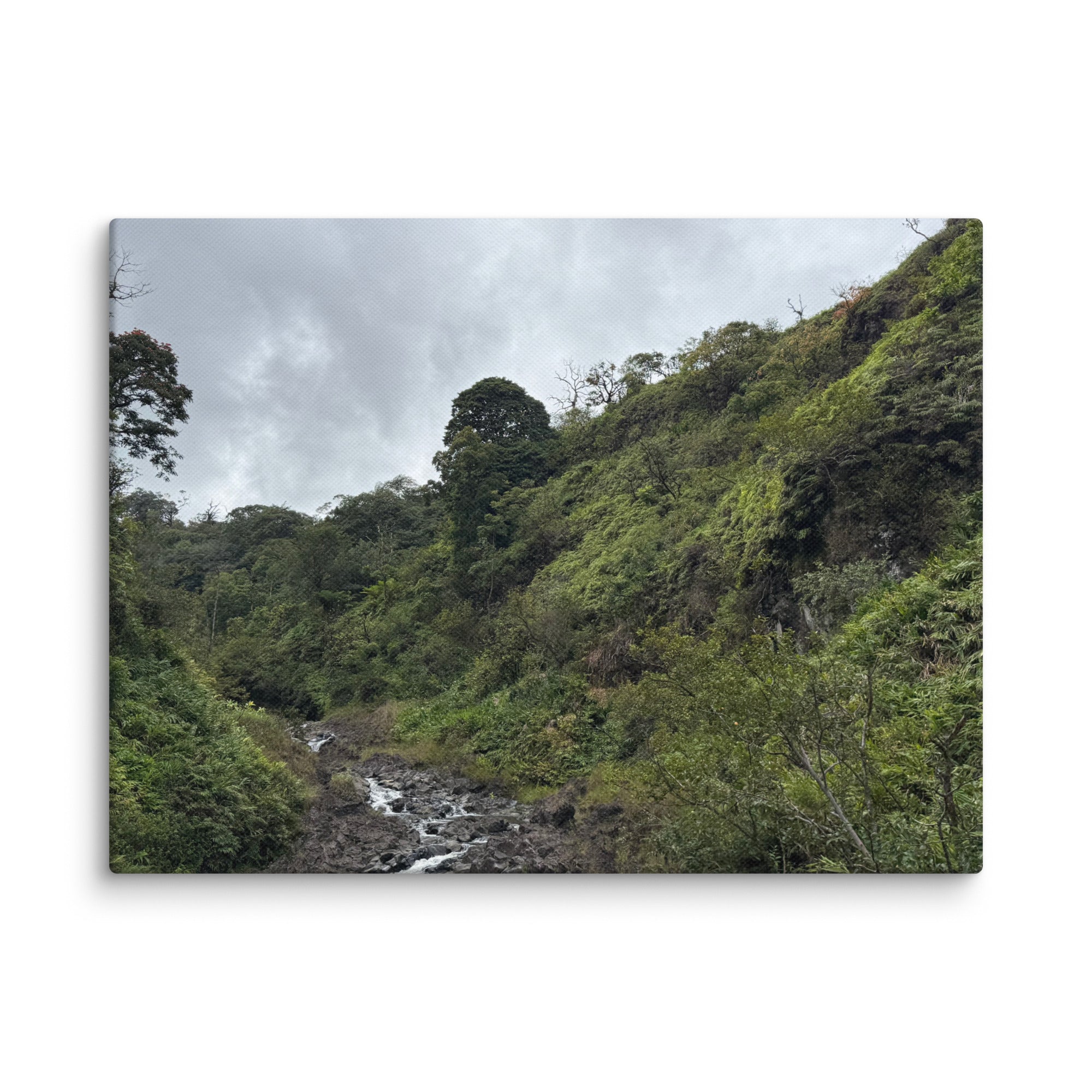 Road to Hana waterfall canvas print — small jungle waterfall along Maui's Hana Highway, Hawaii landscape wall art