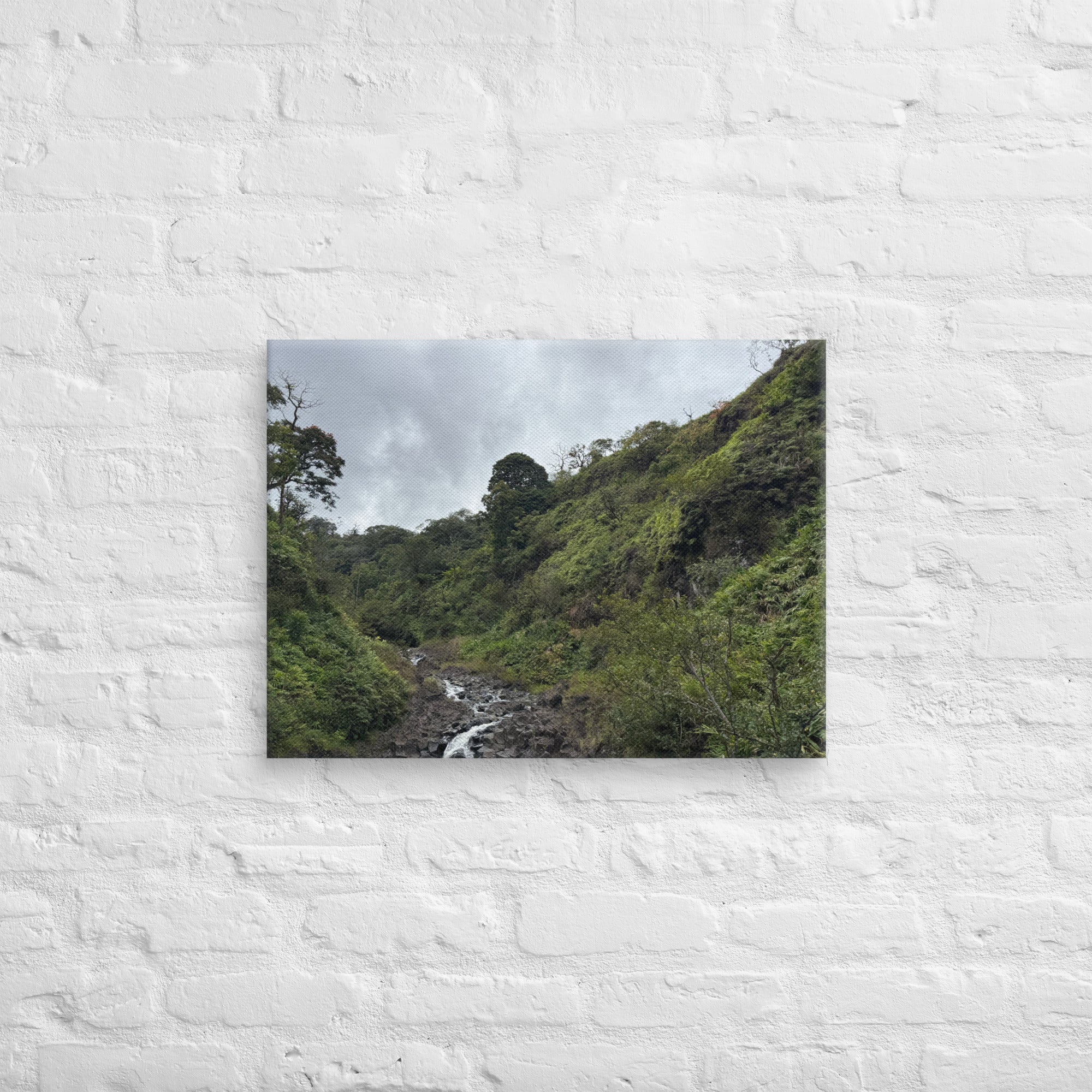 Road to Hana waterfall canvas print — small jungle waterfall along Maui's Hana Highway, Hawaii landscape wall art