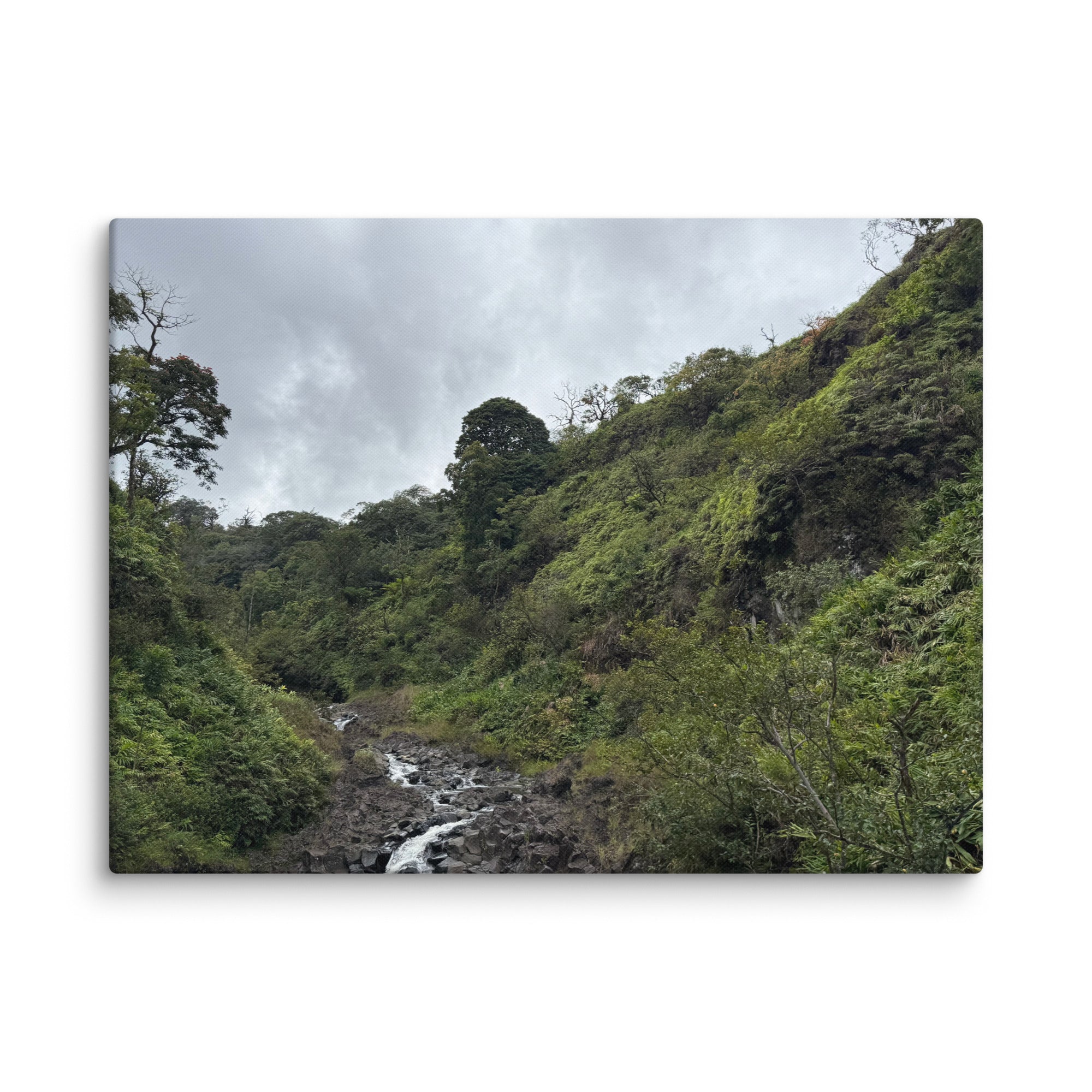 Road to Hana waterfall canvas print — small jungle waterfall along Maui's Hana Highway, Hawaii landscape wall art