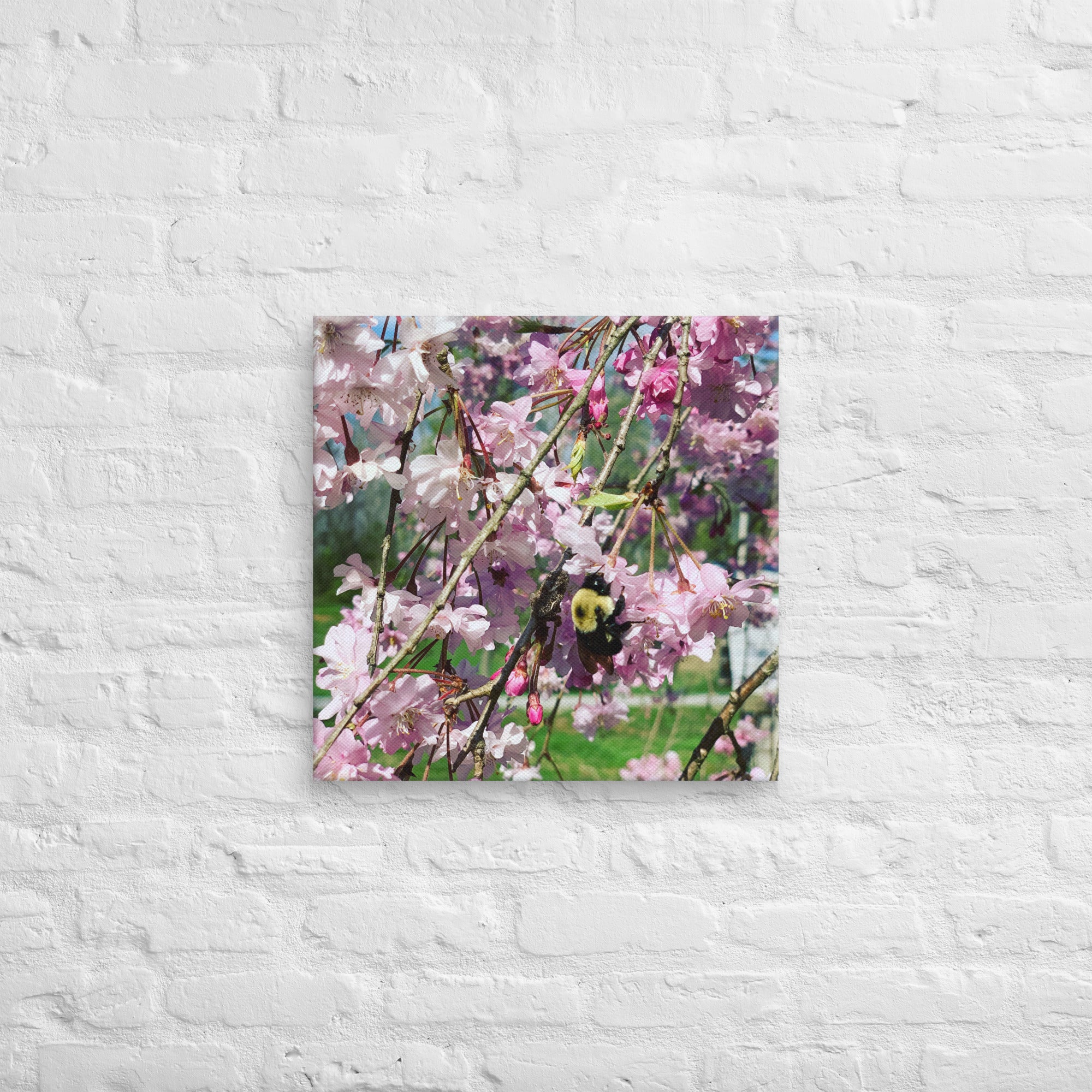 Cherry blossom canvas print with bumblebee — pink weeping cherry tree spring wall art