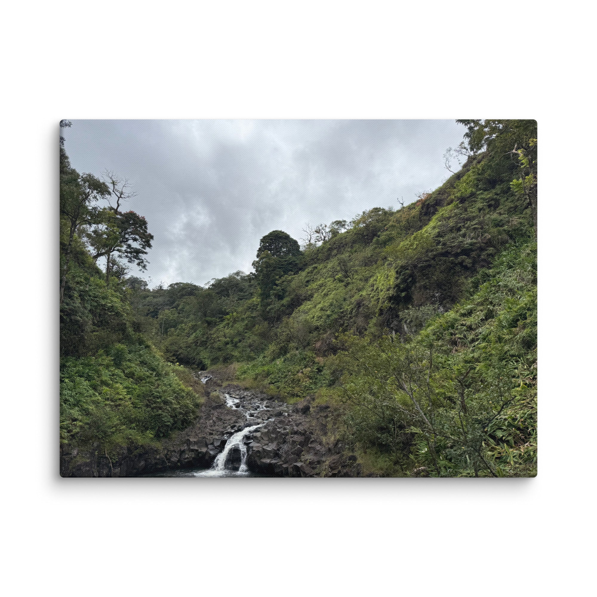 Road to Hana waterfall canvas print — small jungle waterfall along Maui's Hana Highway, Hawaii landscape wall art
