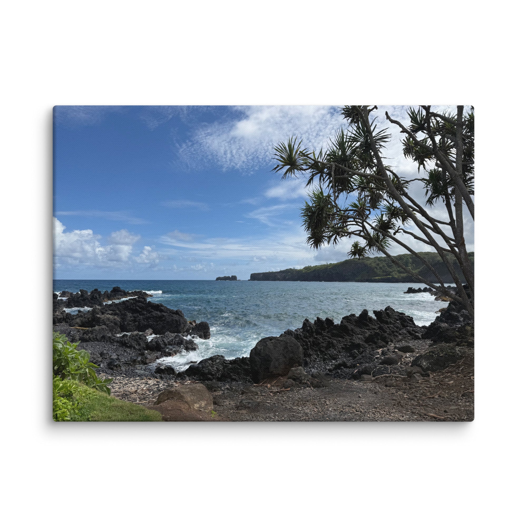 Dragon's Teeth Trail canvas print — Makaluapuna Point lava coastline on Maui's Kapalua coast, Hawaii coastal wall art