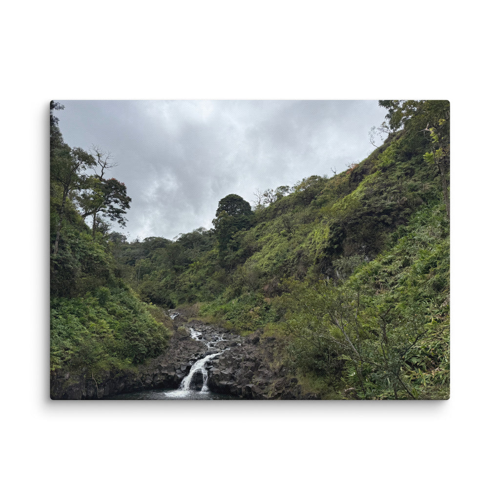 Road to Hana waterfall canvas print — small jungle waterfall along Maui's Hana Highway, Hawaii landscape wall art