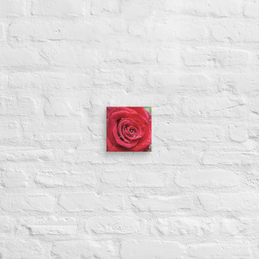 Red rose canvas print with dewdrops on petals — romantic floral wall art