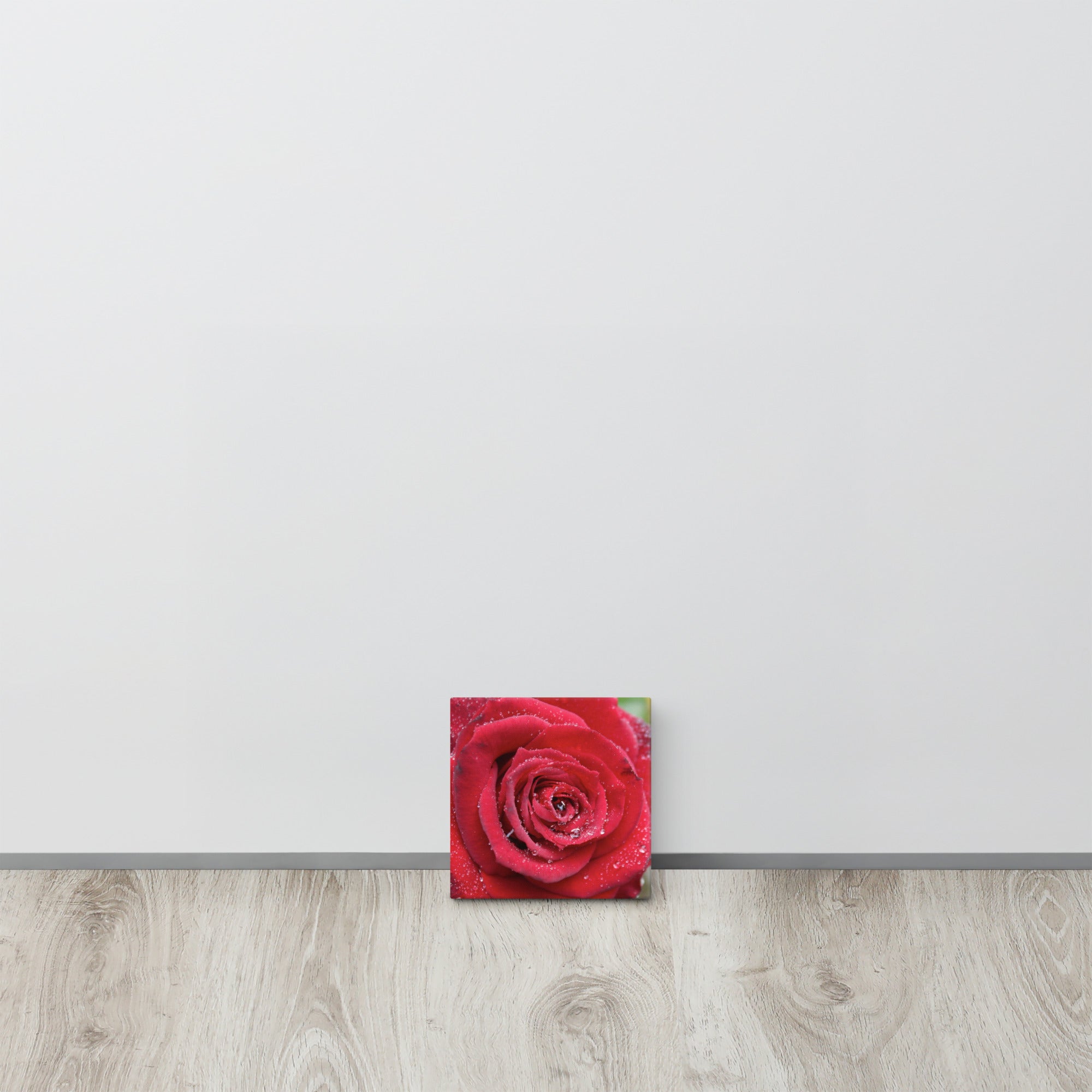 Red rose canvas print with dewdrops on petals — romantic floral wall art