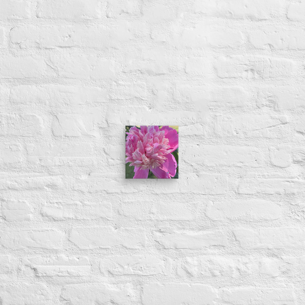 Pink peony canvas print — lush summer bloom floral wall art