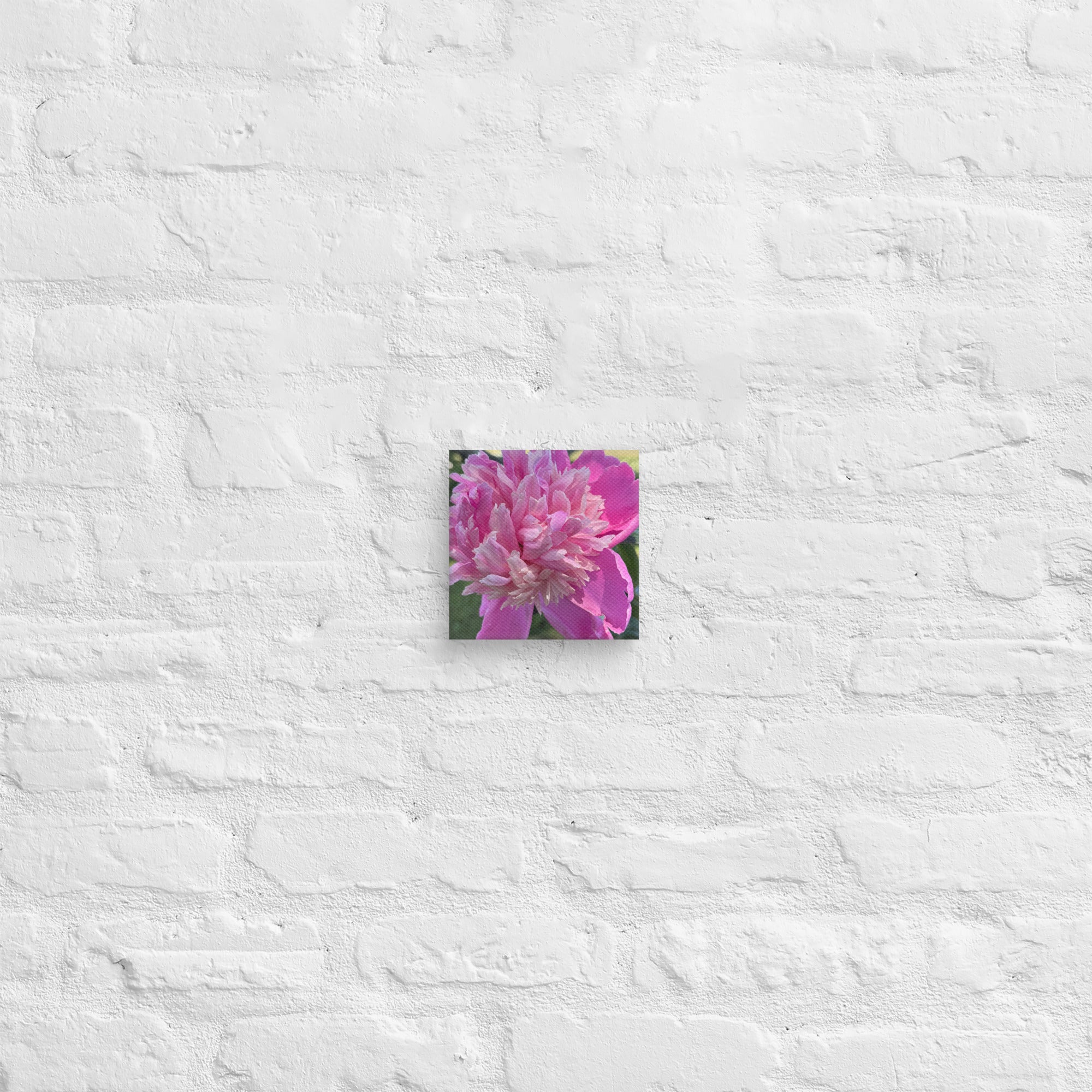Pink peony canvas print — lush summer bloom floral wall art