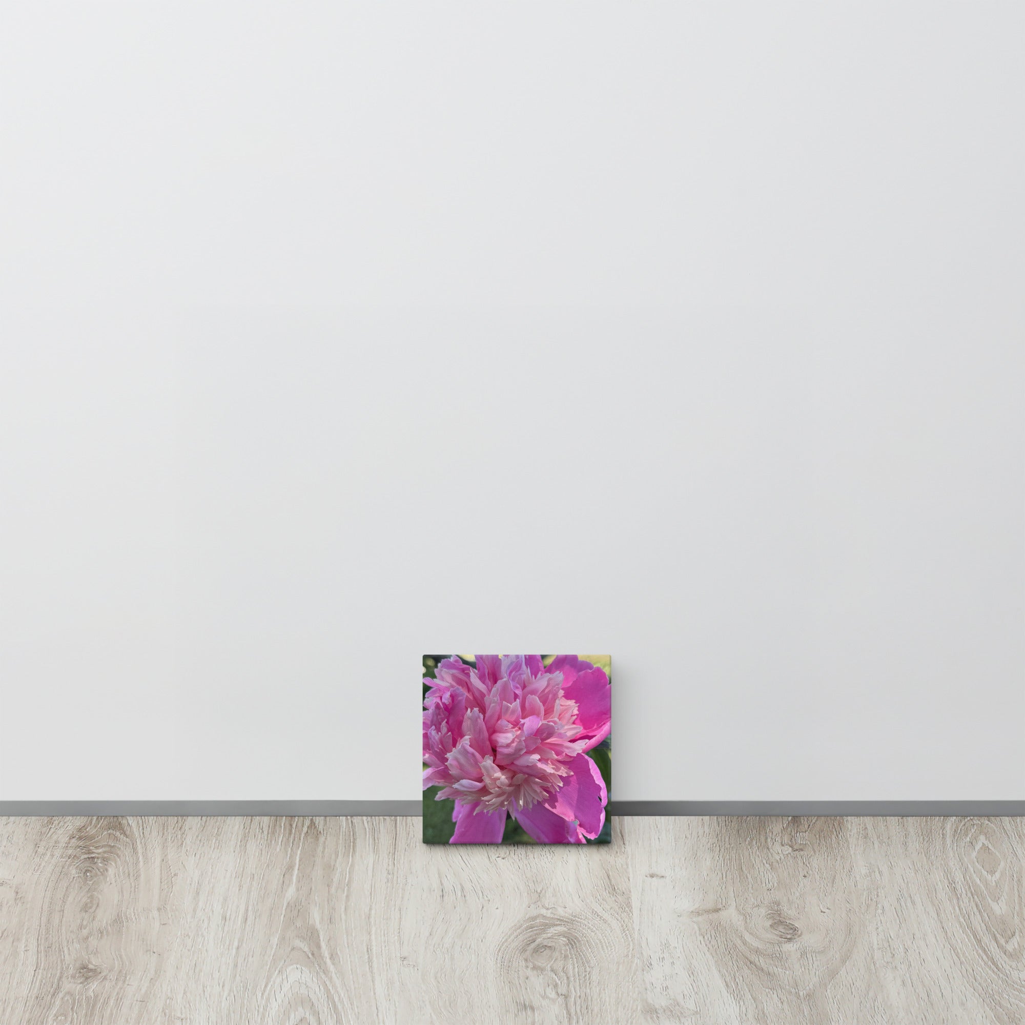 Pink peony canvas print — lush summer bloom floral wall art