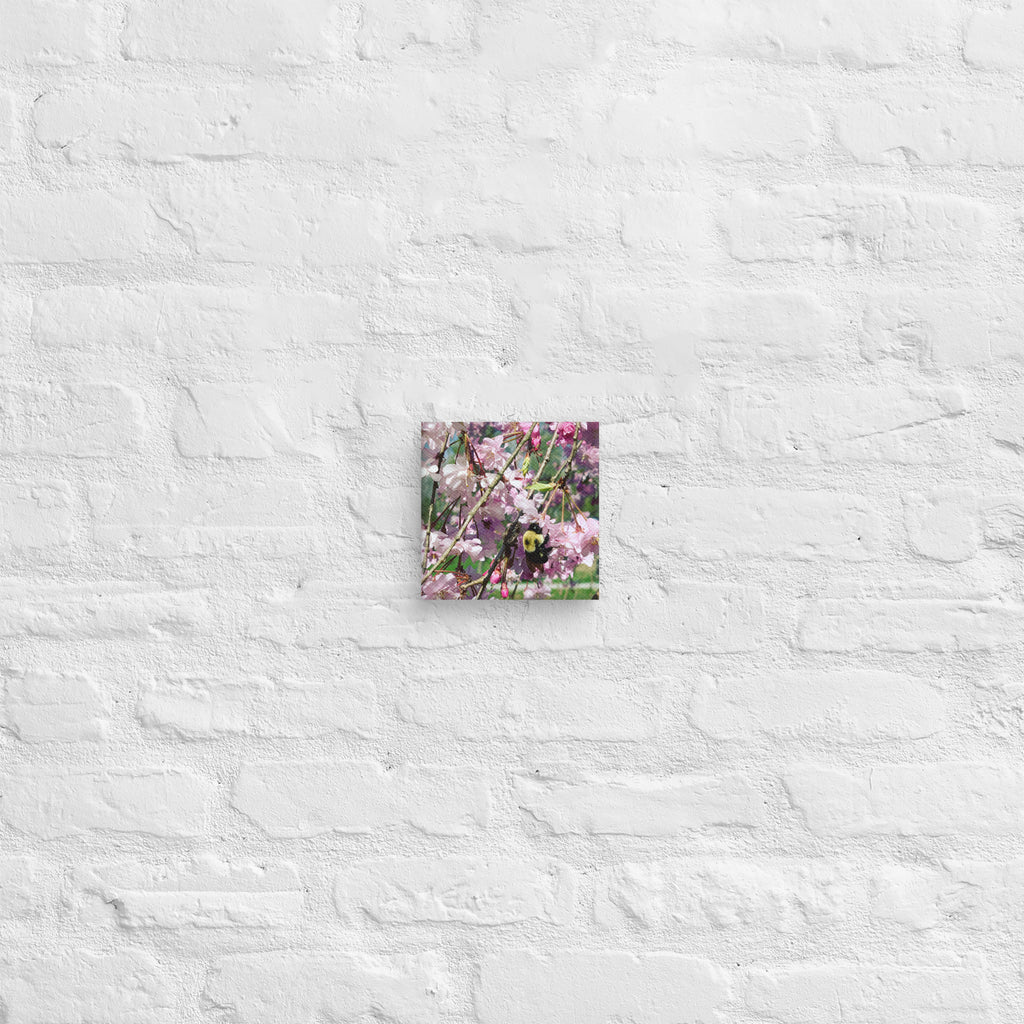 Product mockupCherry blossom canvas print with bumblebee — pink weeping cherry tree spring wall art
