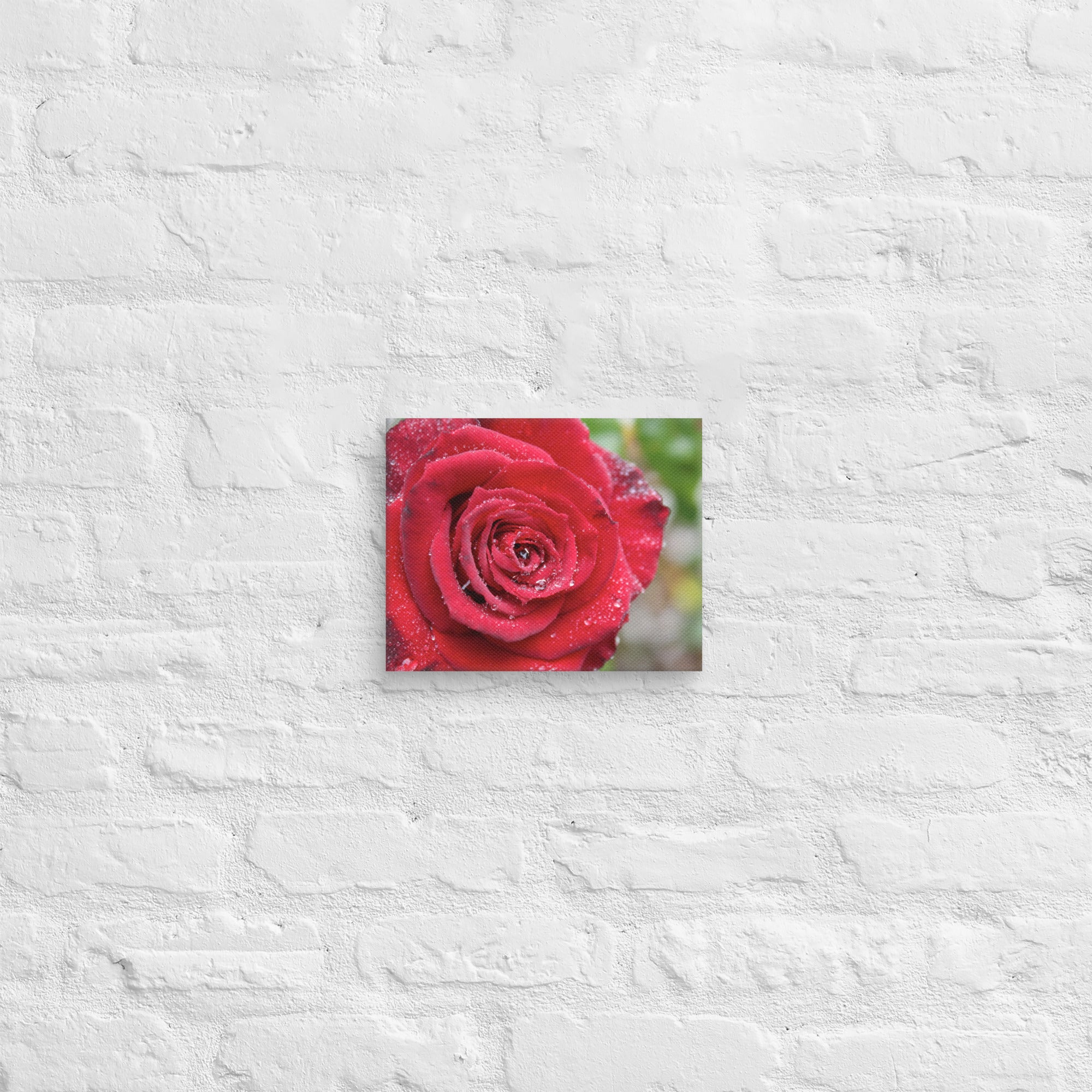 Red rose canvas print with dewdrops on petals — romantic floral wall art