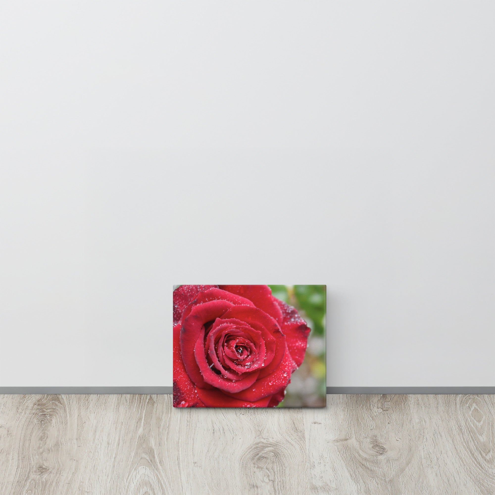 Red rose canvas print with dewdrops on petals — romantic floral wall art