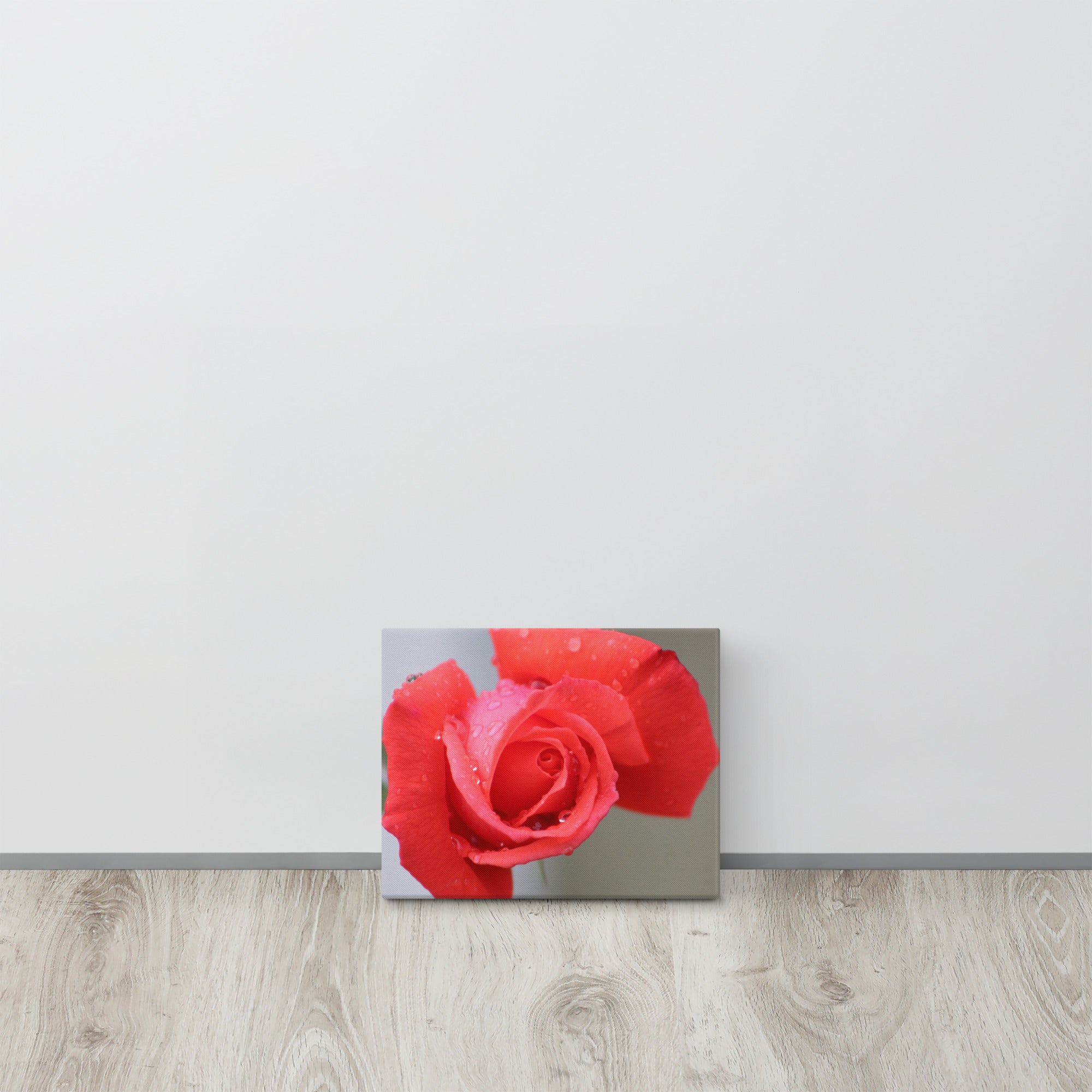 Coral pink rose canvas print with dewdrops on petals — soft floral wall art"