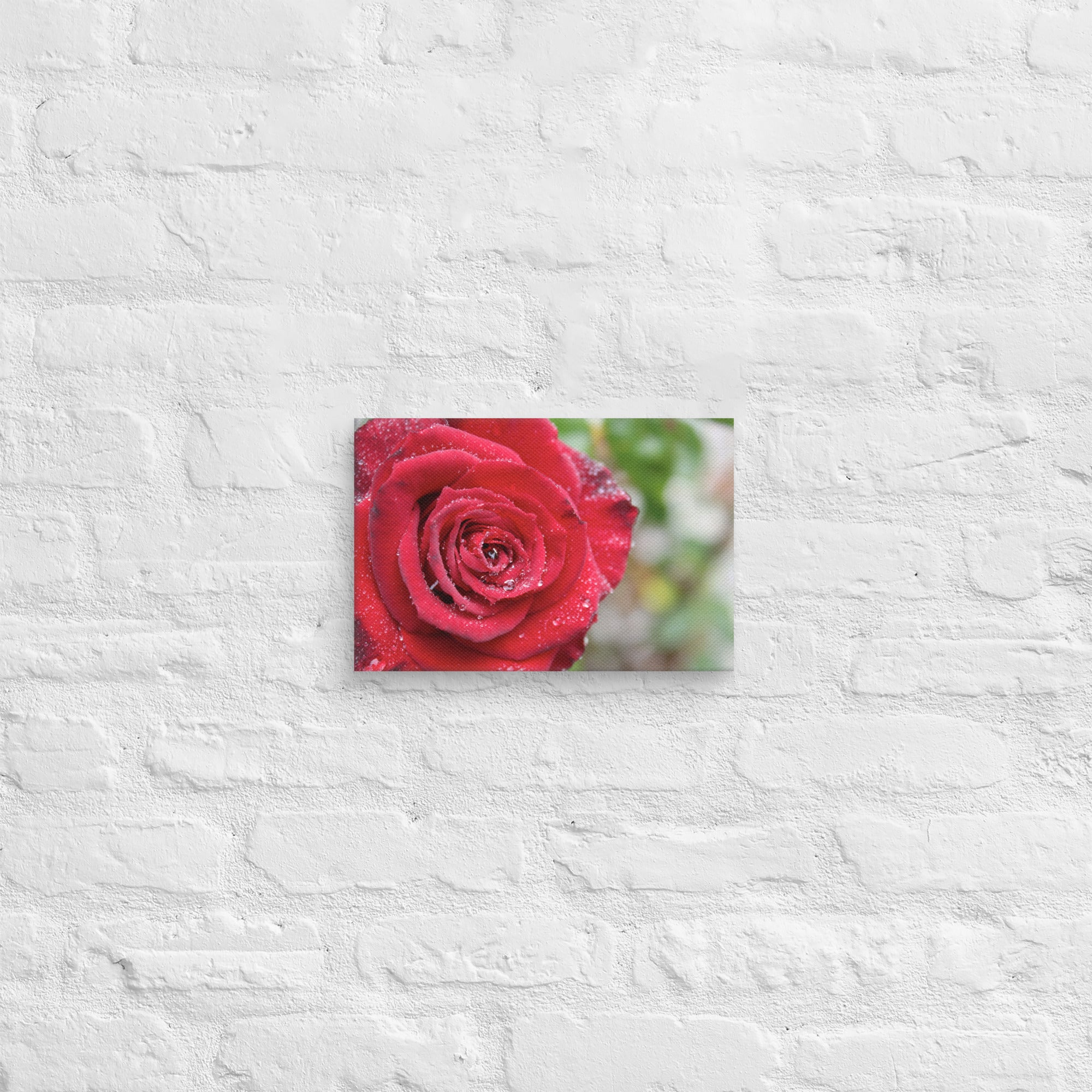 Red rose canvas print with dewdrops on petals — romantic floral wall art
