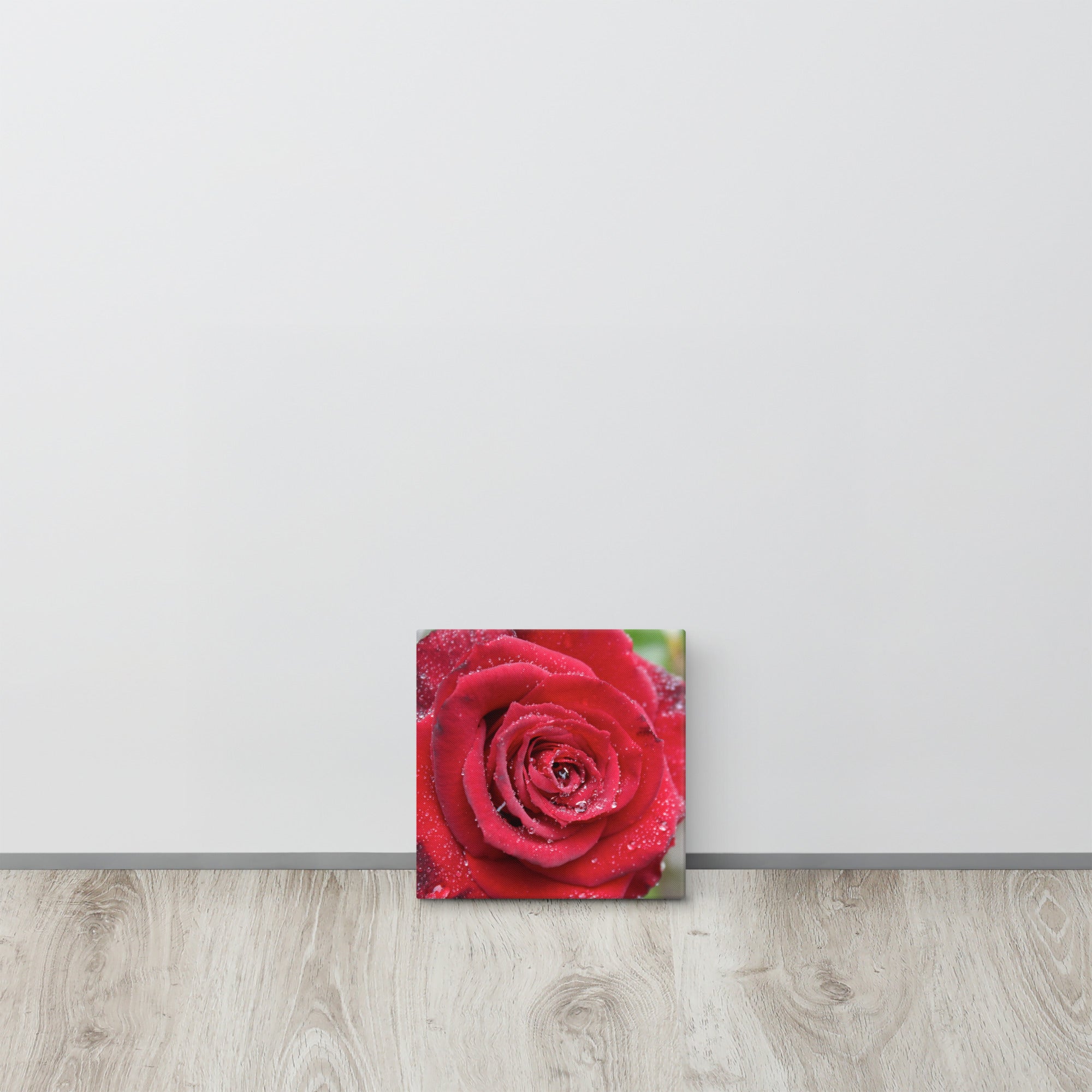 Red rose canvas print with dewdrops on petals — romantic floral wall art