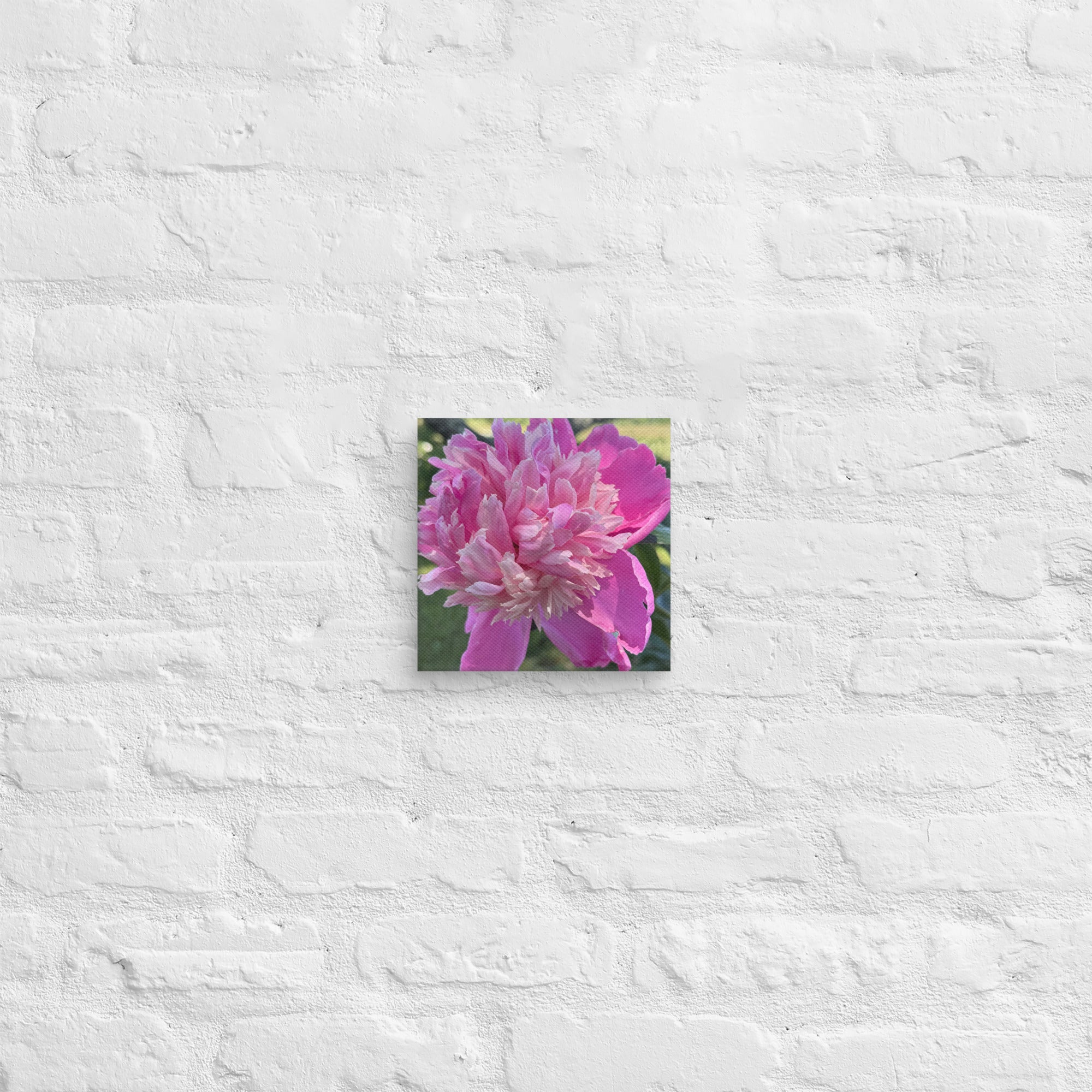 Pink peony canvas print — lush summer bloom floral wall art