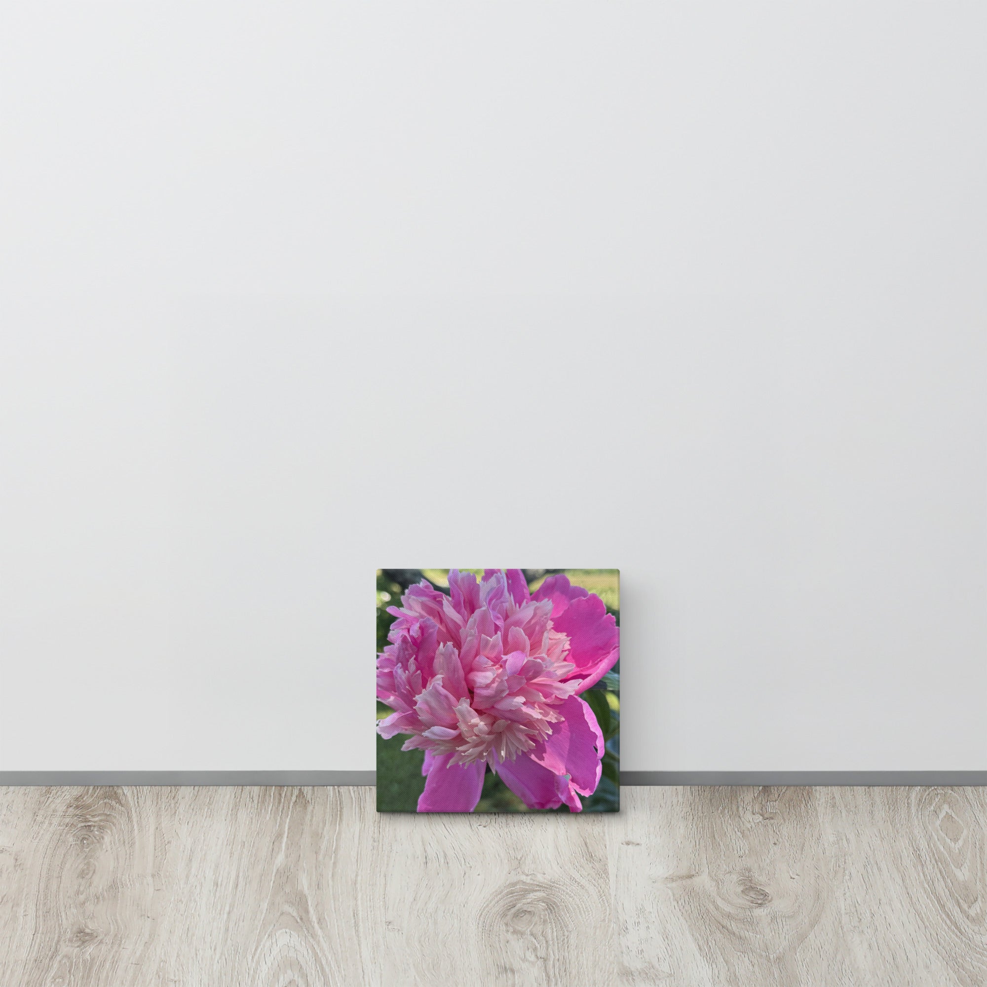 Pink peony canvas print — lush summer bloom floral wall art
