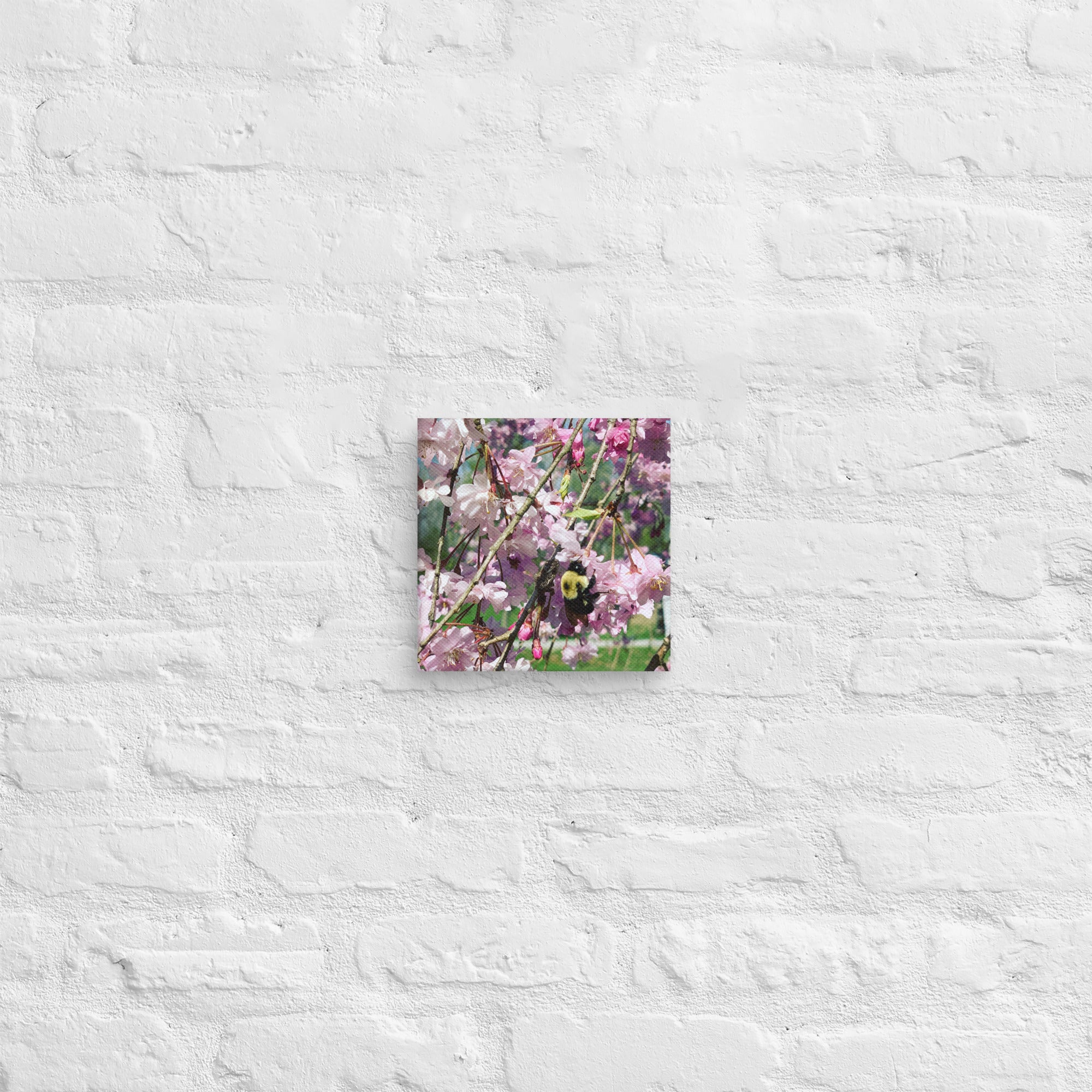 Cherry blossom canvas print with bumblebee — pink weeping cherry tree spring wall art