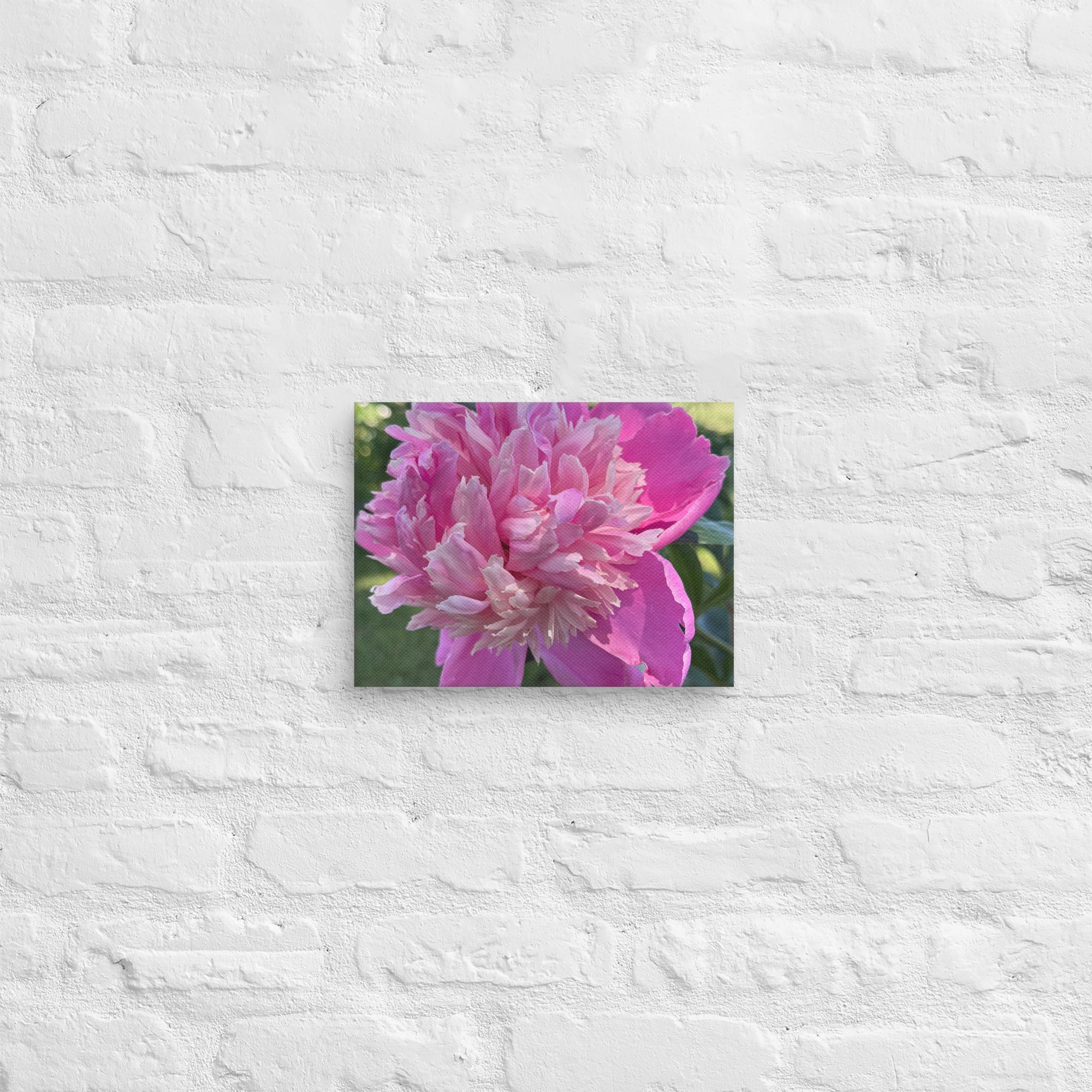 Pink peony canvas print — lush summer bloom floral wall art