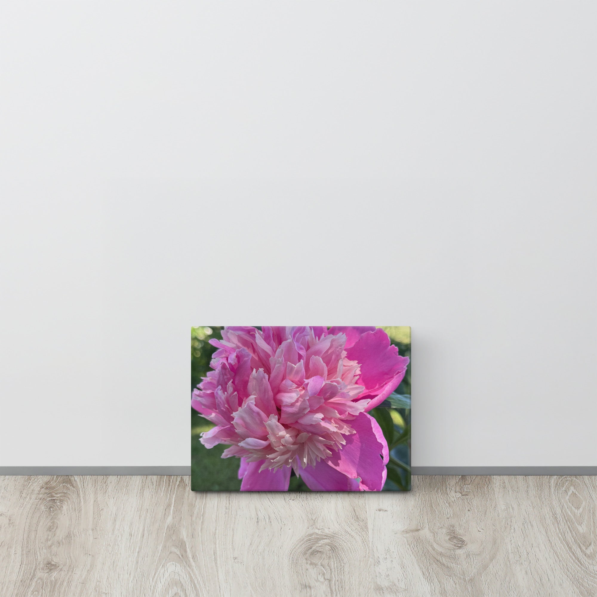 Pink peony canvas print — lush summer bloom floral wall art