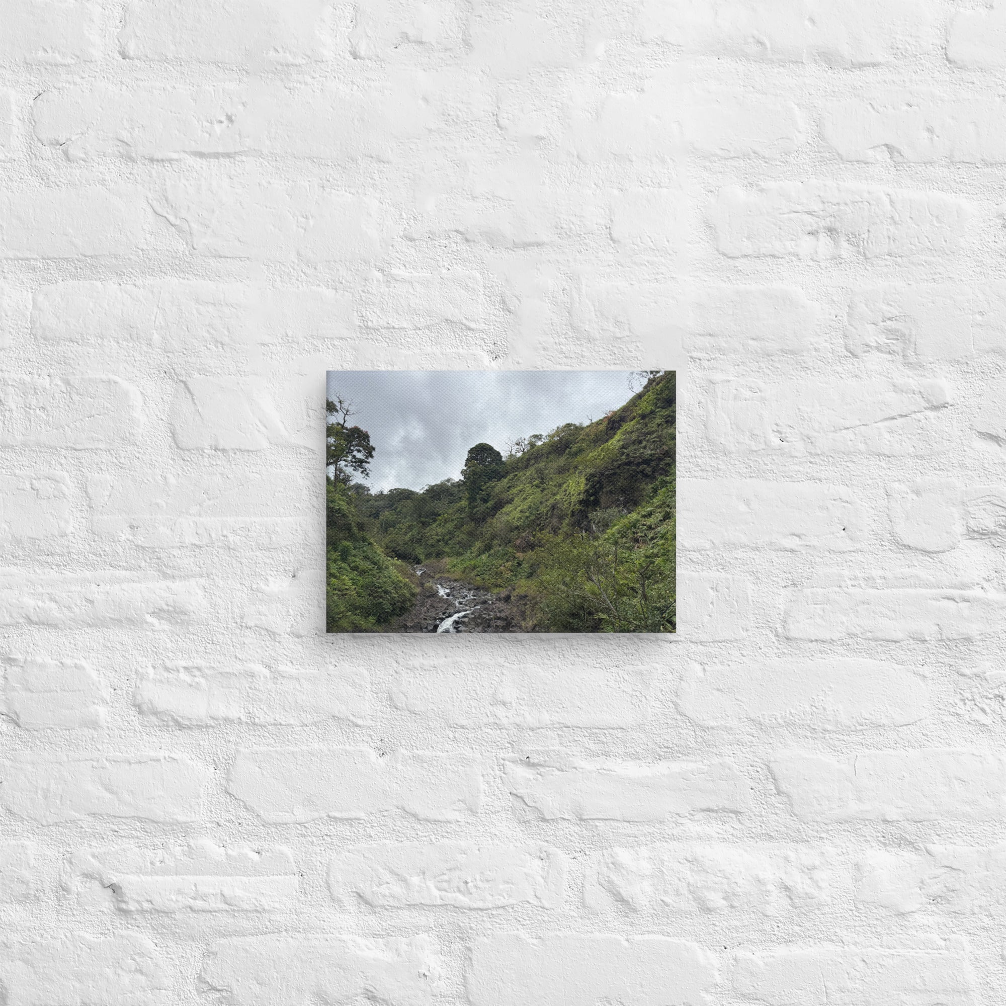 Road to Hana waterfall canvas print — small jungle waterfall along Maui's Hana Highway, Hawaii landscape wall art