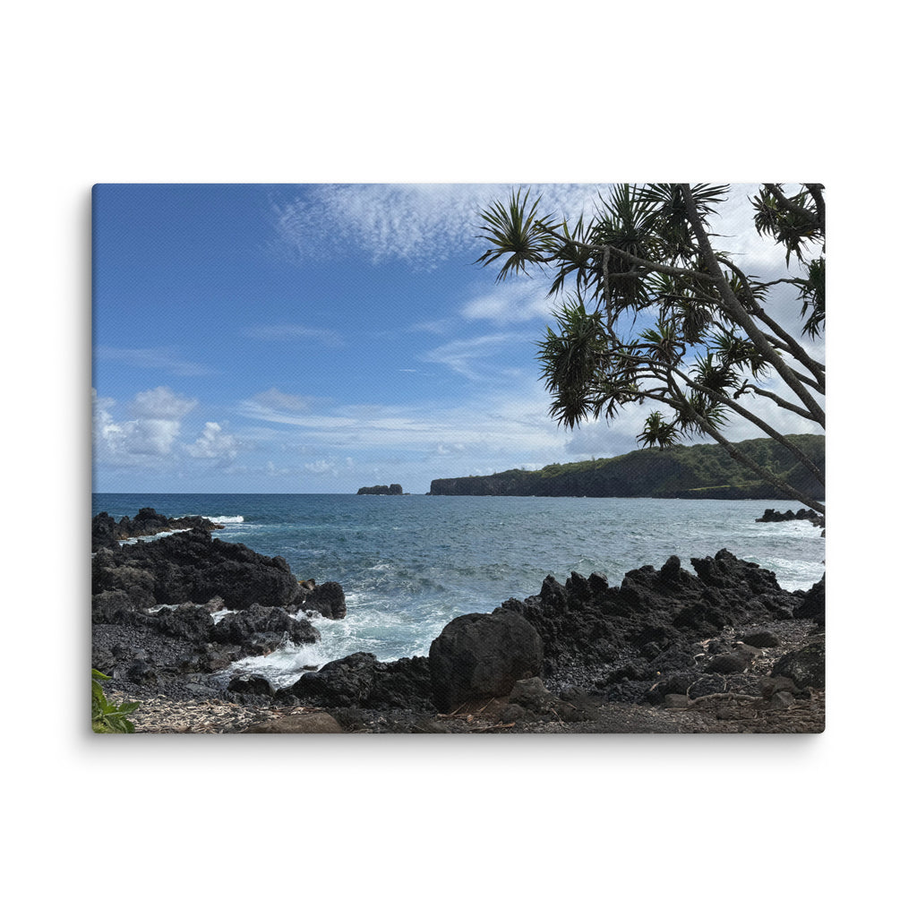Dragon's Teeth Trail canvas print — Makaluapuna Point lava coastline on Maui's Kapalua coast, Hawaii coastal wall art
